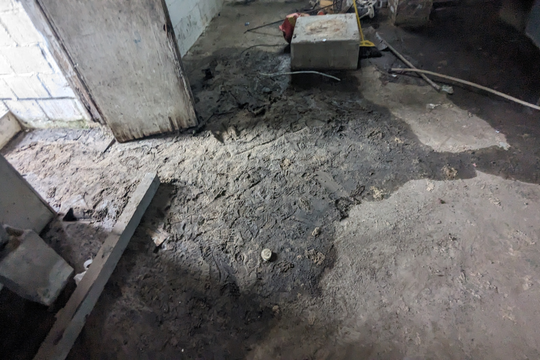 PXL_20240326_172528267