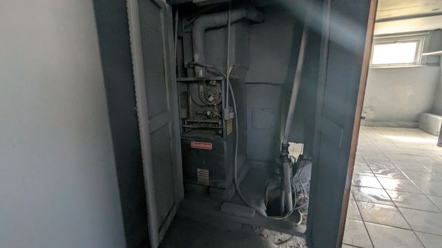 PXL_20240329_155817384