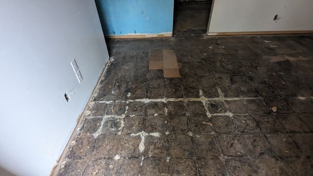 PXL_20240401_170507196