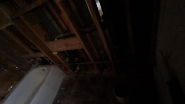 PXL_20240401_170732101