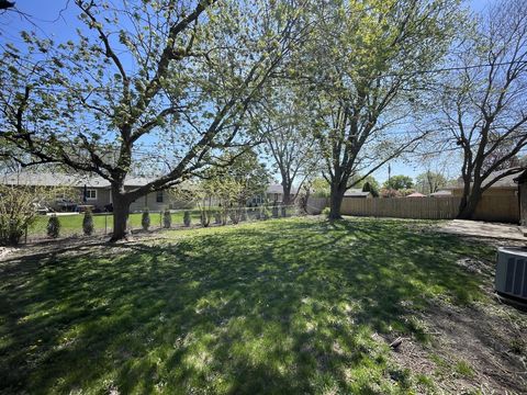 HD_1714145155334_backyard