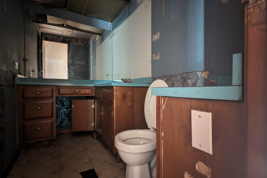 PXL_20240501_133512573.NIGHT