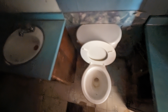 PXL_20240501_133519138.NIGHT