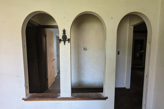 PXL_20240503_164330283