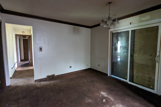 PXL_20240503_164404726