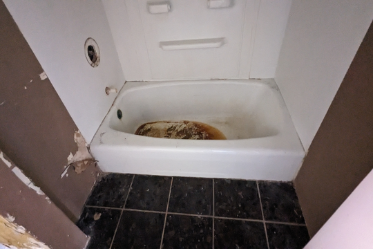 PXL_20240503_164455339