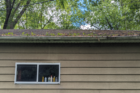 PXL_20240528_182534072