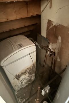 Photo Apr 30 2024, 1 05 53 PM