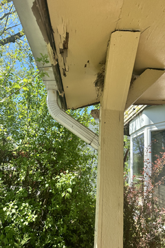 Photo Apr 30 2024, 1 08 20 PM