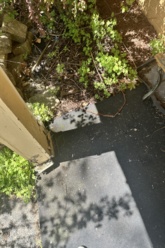 Photo Apr 30 2024, 1 08 21 PM