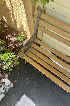 Photo Apr 30 2024, 1 08 22 PM