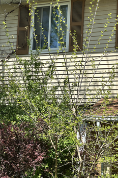 Photo Apr 30 2024, 1 08 45 PM