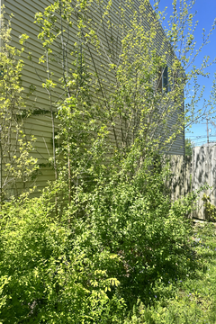 Photo Apr 30 2024, 1 09 04 PM