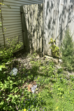 Photo Apr 30 2024, 1 09 07 PM