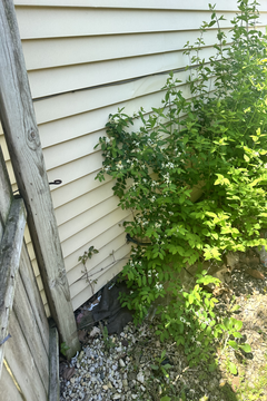 Photo Apr 30 2024, 1 09 15 PM