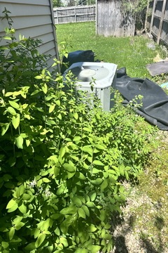 Photo Apr 30 2024, 1 09 16 PM