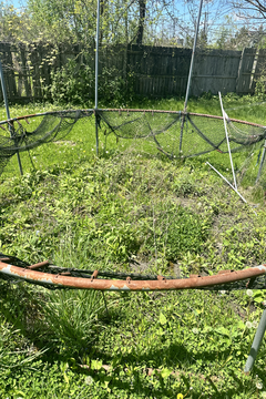 Photo Apr 30 2024, 1 09 38 PM