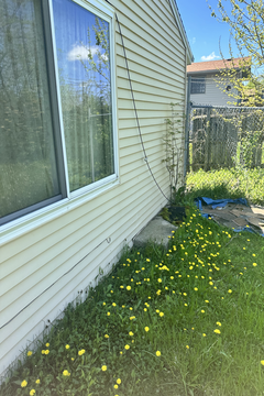 Photo Apr 30 2024, 1 09 50 PM