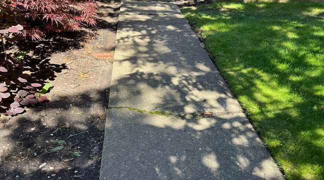 Photo May 30 2024, 2 28 29 PM