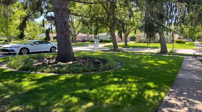 Photo May 30 2024, 2 28 39 PM