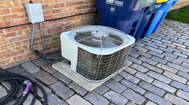 Photo May 30 2024, 2 29 21 PM