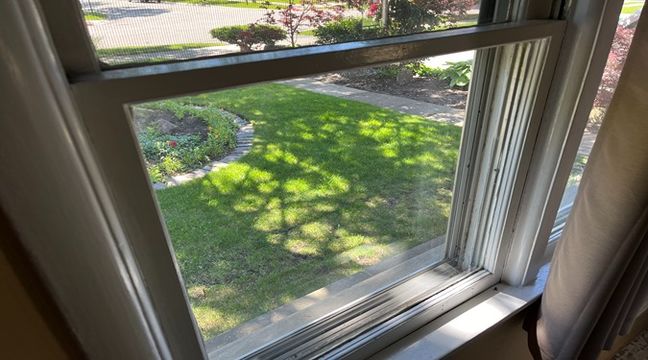 Photo May 30 2024, 2 33 11 PM