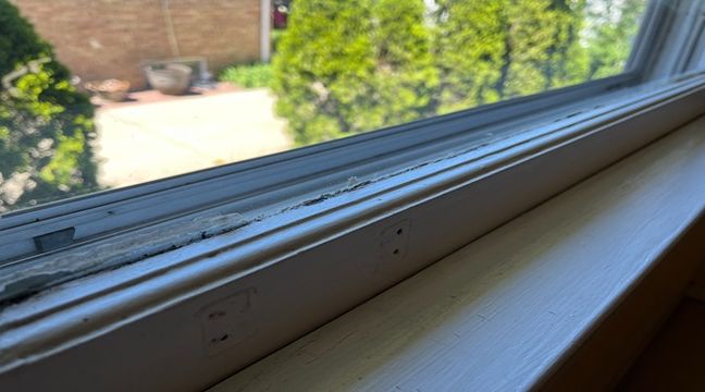 Photo May 30 2024, 2 34 03 PM