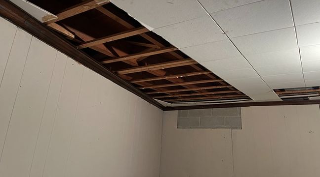 Photo May 30 2024, 2 37 01 PM