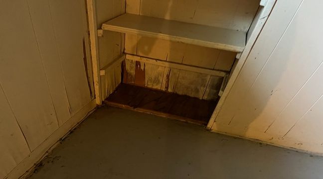 Photo May 30 2024, 2 37 09 PM