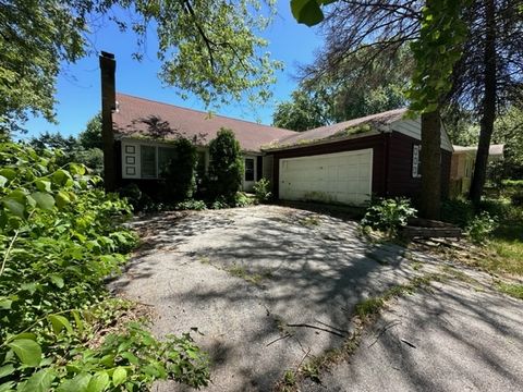 P_1717092328525_IMG_6135