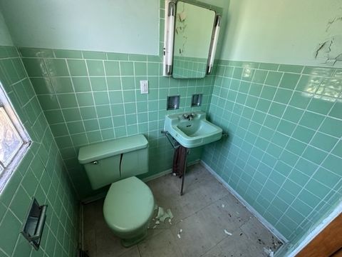 P_1717092330742_IMG_6149