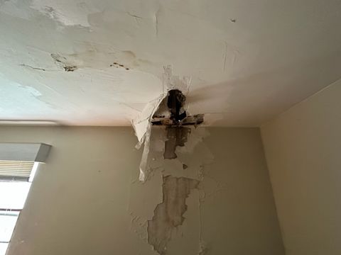 P_1717092335323_IMG_6156