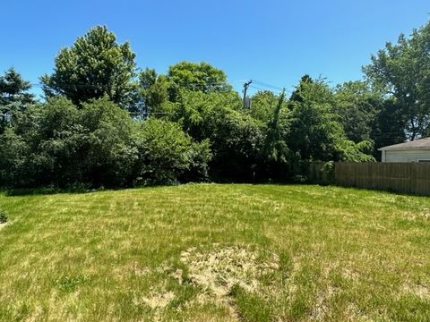 P_1717092338186_IMG_6175