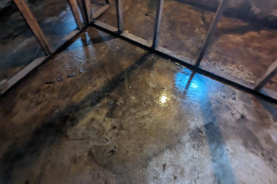 PXL_20240603_142333989