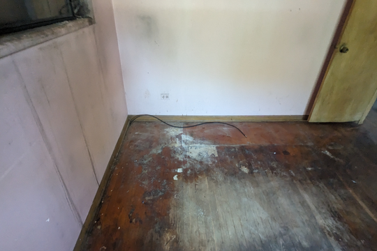 PXL_20240603_142440715