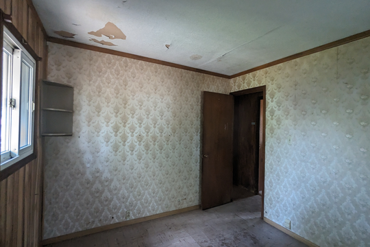 PXL_20240617_155326728