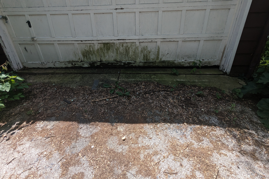 PXL_20240618_165733409