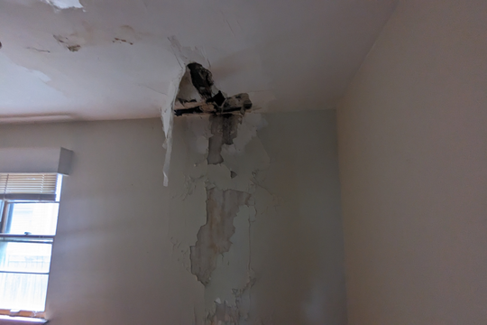 PXL_20240618_170458474