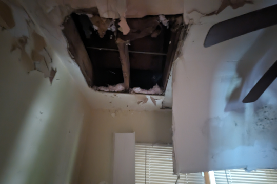 PXL_20240618_170555298.NIGHT