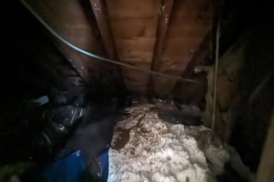 PXL_20240618_170655228.NIGHT