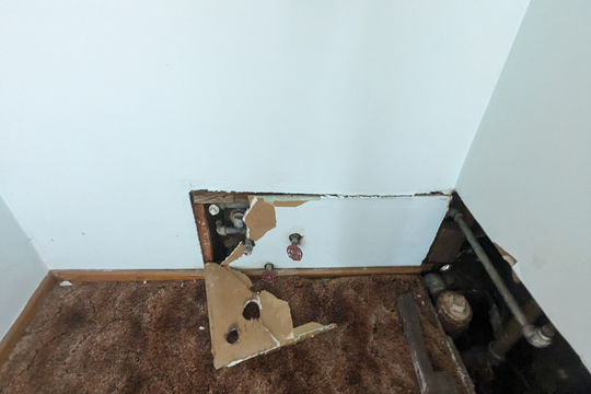 PXL_20240618_170723447