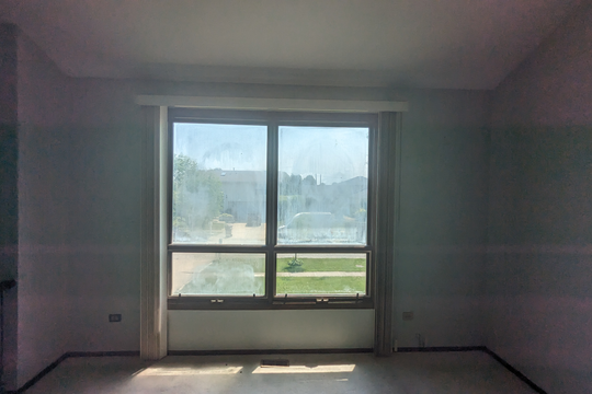 PXL_20240619_160325407