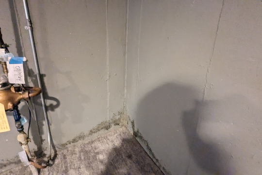 PXL_20240624_143933183