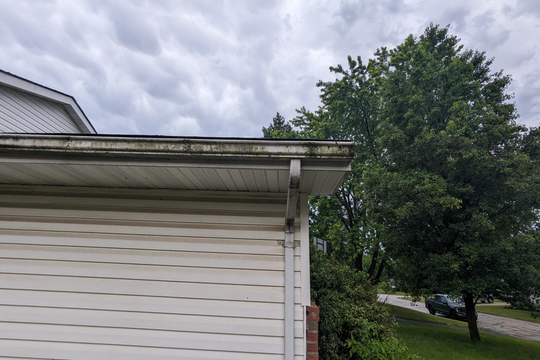 PXL_20240625_153144846