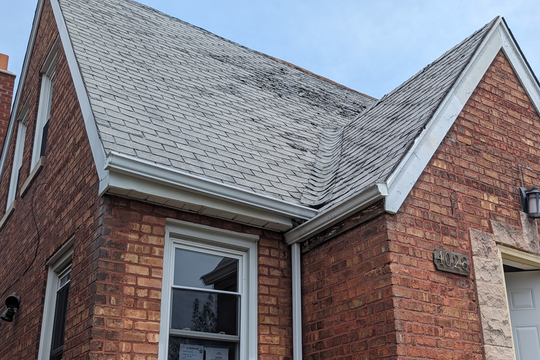 PXL_20240625_175616122