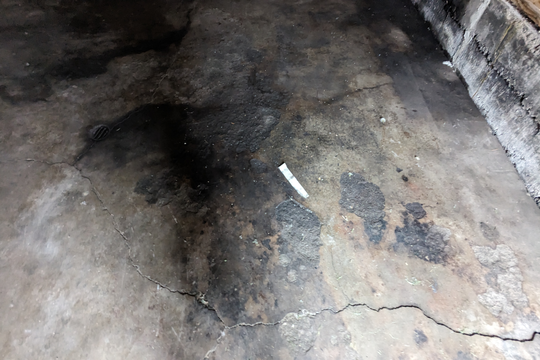 PXL_20240625_175837254