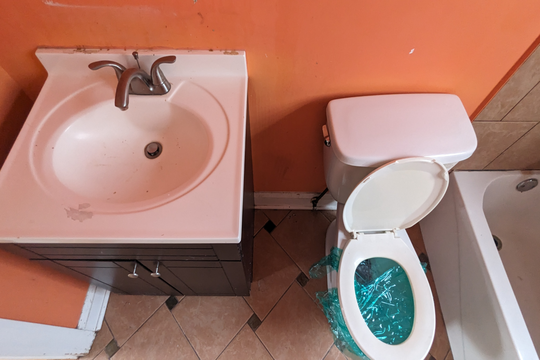 PXL_20240625_180144484