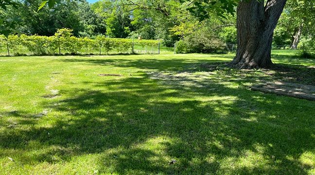 Photo Jun 06 2024, 10 53 05 AM