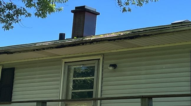 Photo Jun 06 2024, 10 53 22 AM