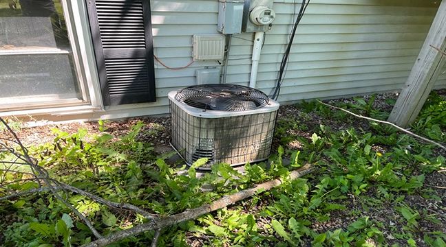 Photo Jun 06 2024, 10 53 43 AM